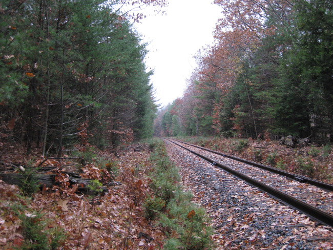 Quarry Switch area