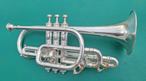 York Cornet